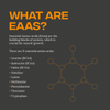EAA