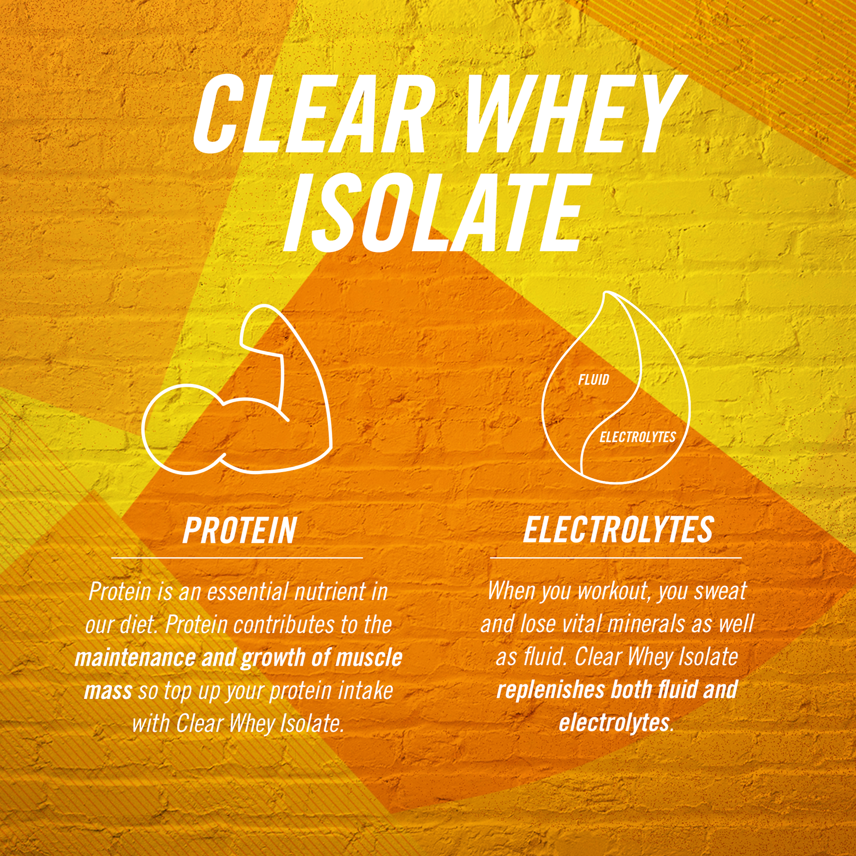 Clear Whey Isolate Flavour Bundle