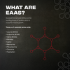 ESSENTIAL AMINO ACID bundle